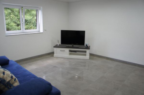 2- Zimmer-Wohnung